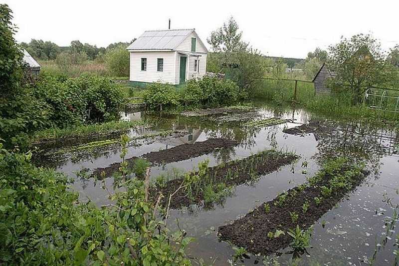 Первый и второй водоносный горизонт, чем отличаются
