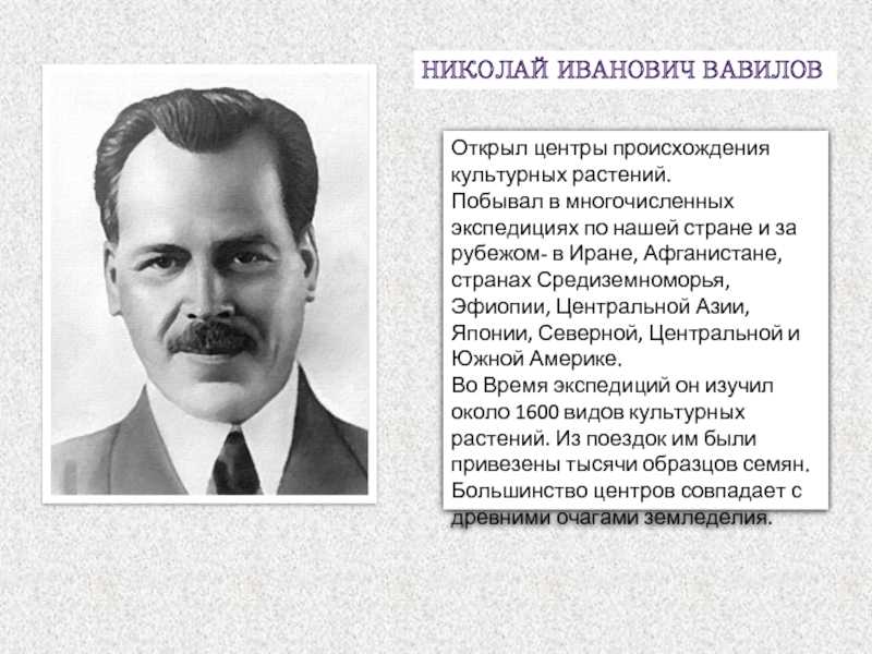 Где находится средиземноморский центр?