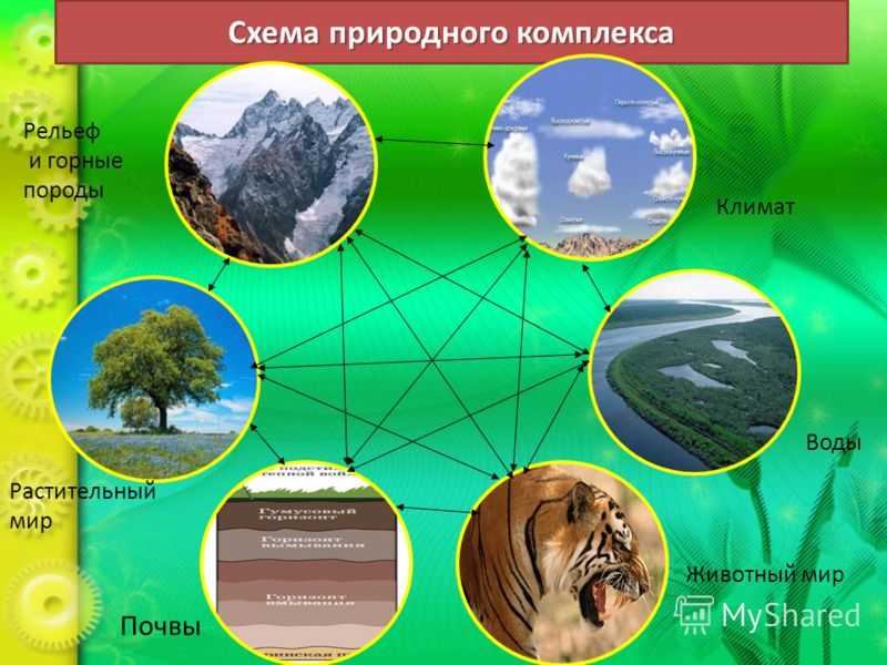 Компоненты географической оболочки 7 класс