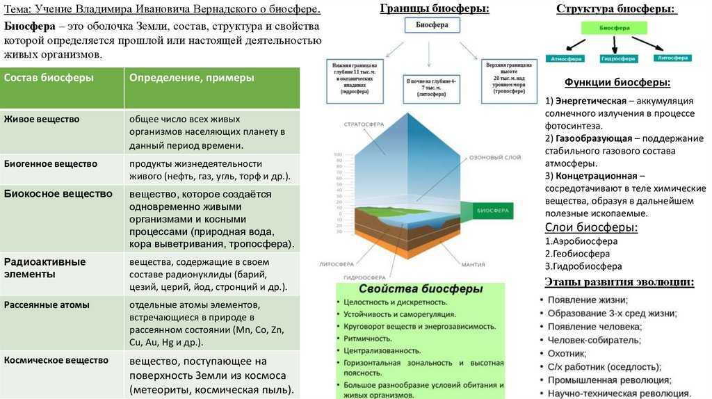 Селекция как наука в решении задач сохранения биосферы