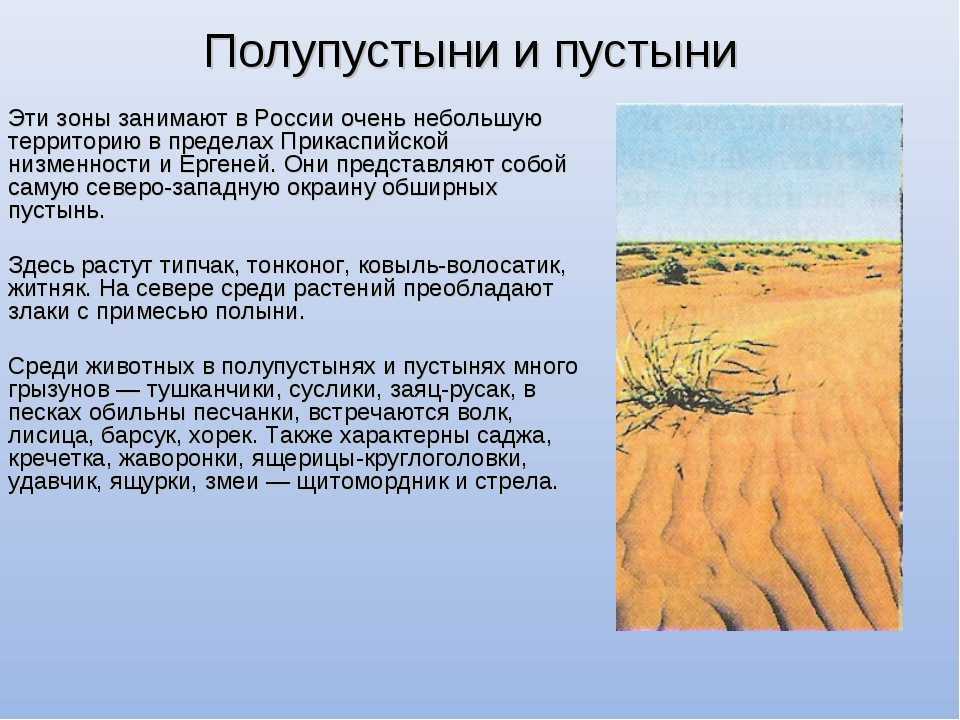 Презентация на тему "природные зоны россии. степи" 8 класс