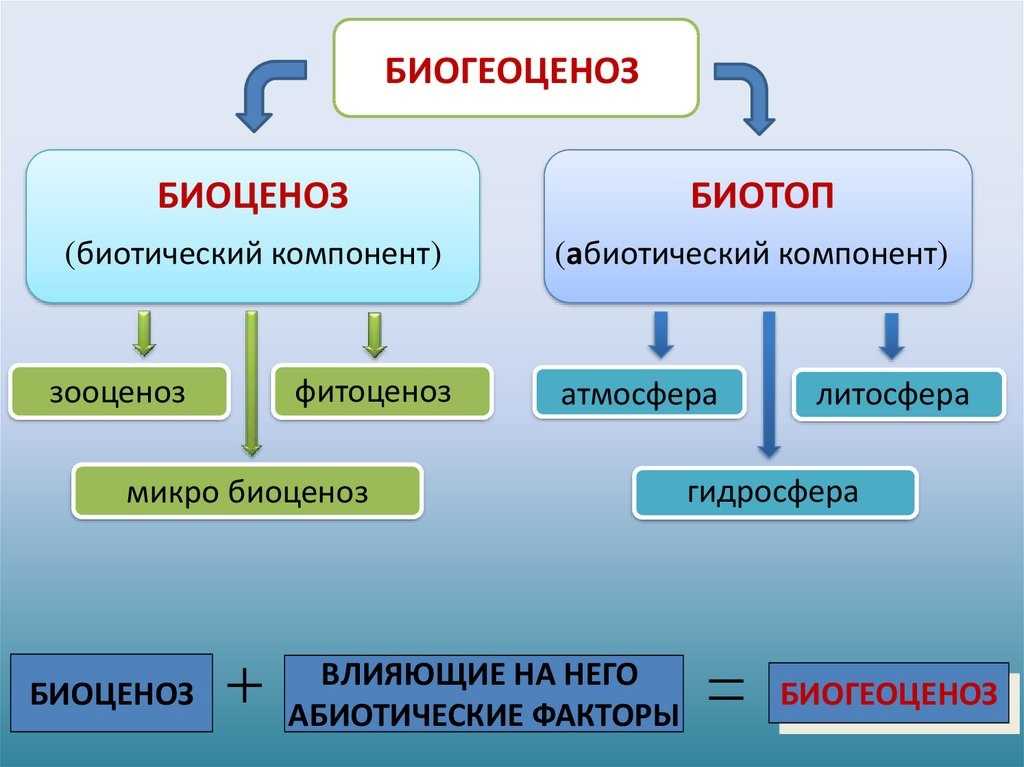 Что такое абиотический компонент биосферы? - узнавалка.про