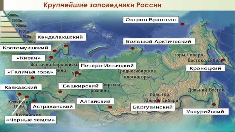 Миссисипская низменность: географическое положение