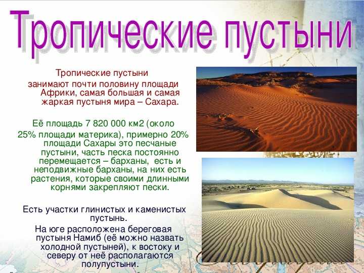 Климат тропических пустынь Презентация к уроку окружающий мир 2 класс Скачать: Вложение Размер klimat_tropicheskih_pustynppt 218 КБ