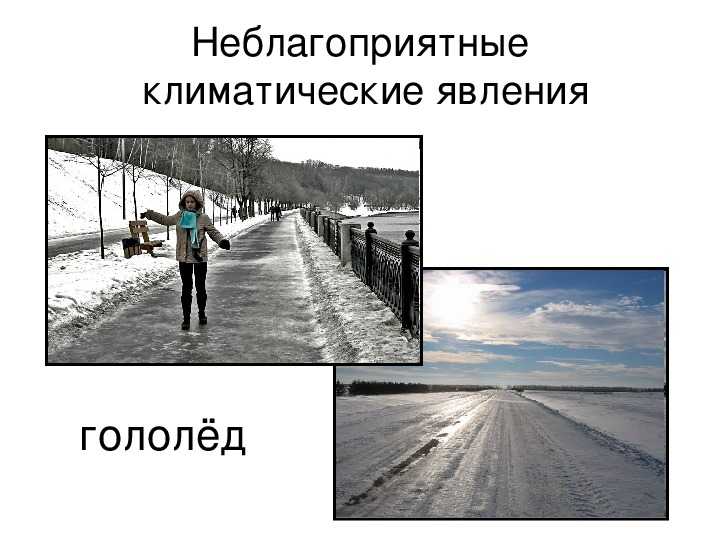 Климатические условия земли и их изменения. реферат. экология. 2010-06-01