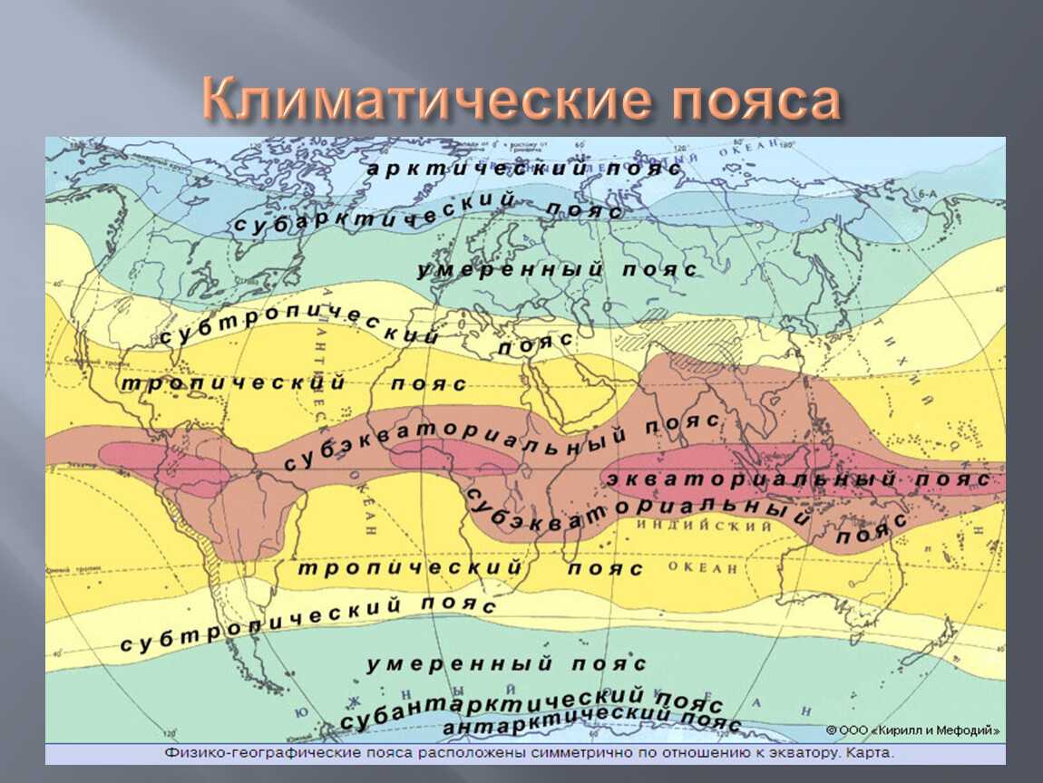 Какой климат характерен для россии — арктический, субарктический, умеренный и субтропический