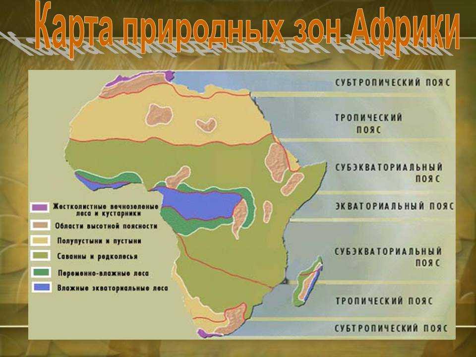 Субэкваториальный климатический пояс