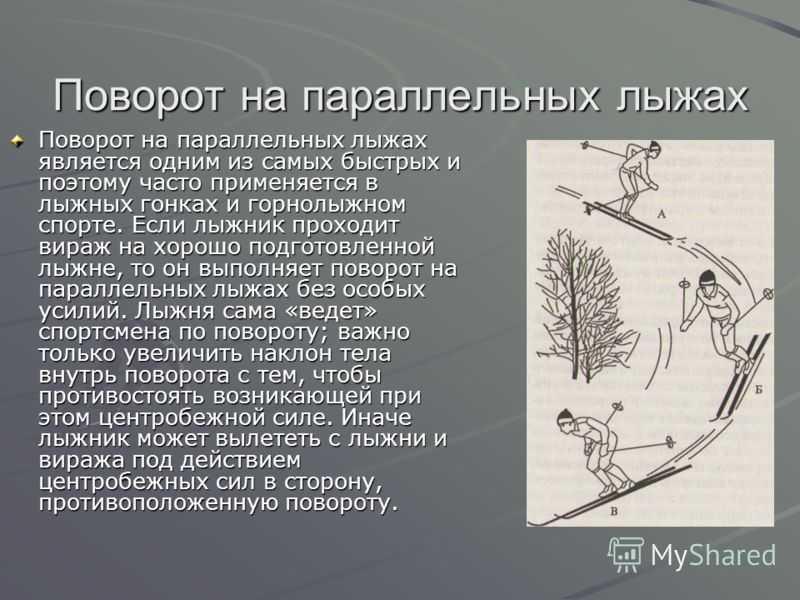 Какие стойки применяет лыжник при спуске с горы