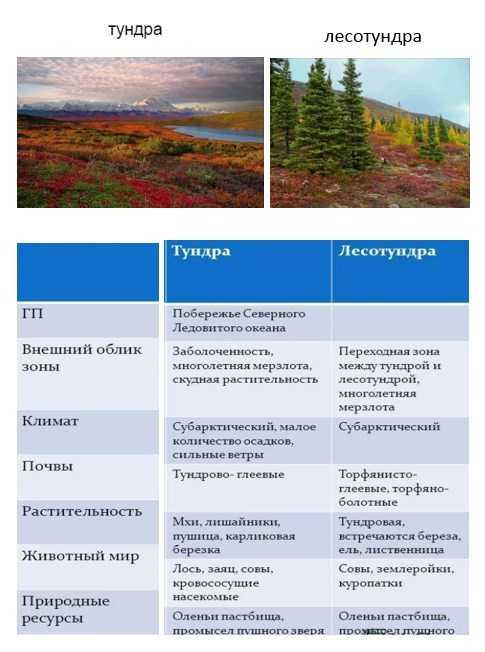 Природные зоны россии (4 класс, окружающий мир) | докладики