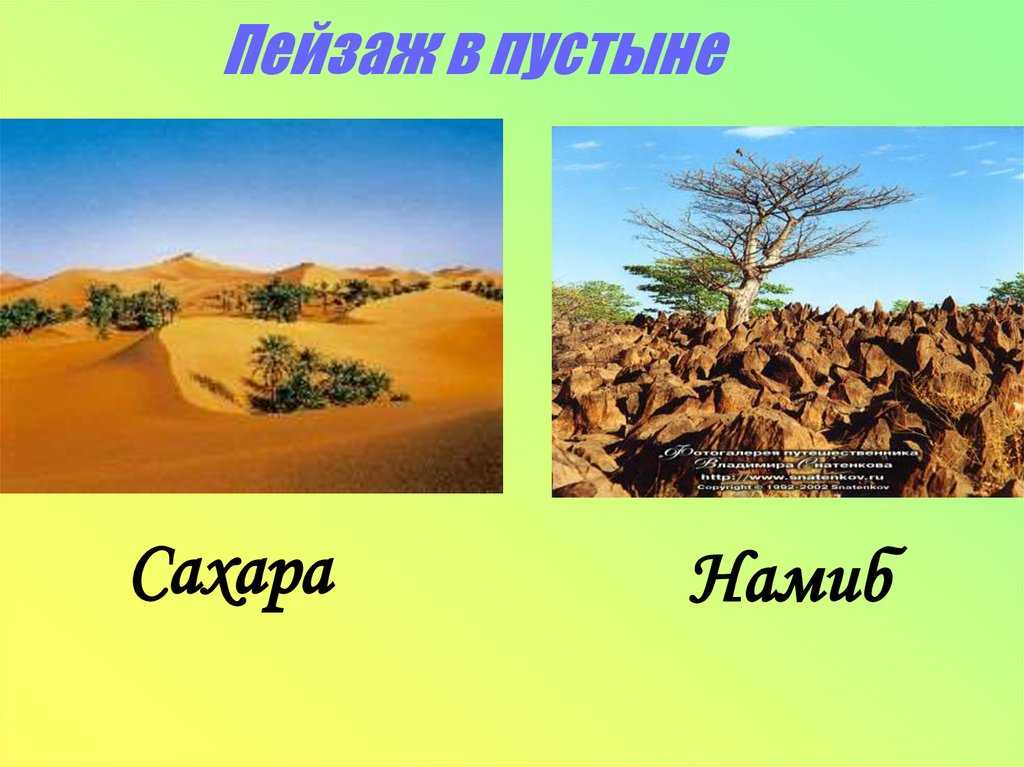 География африки: рельеф, климат, пустыни, внутренние воды, полезные ископаемые, флора и фауна