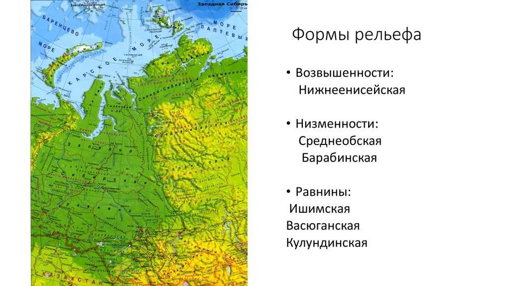 Западно-сибирская равнина — wiki.web.ru