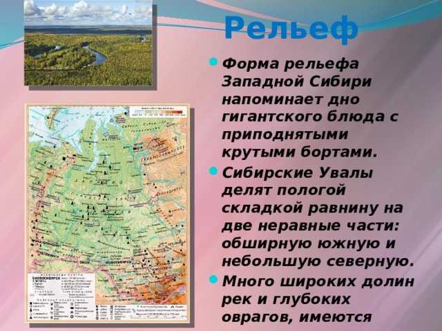 География тюменской области презентация, доклад, проект на тему