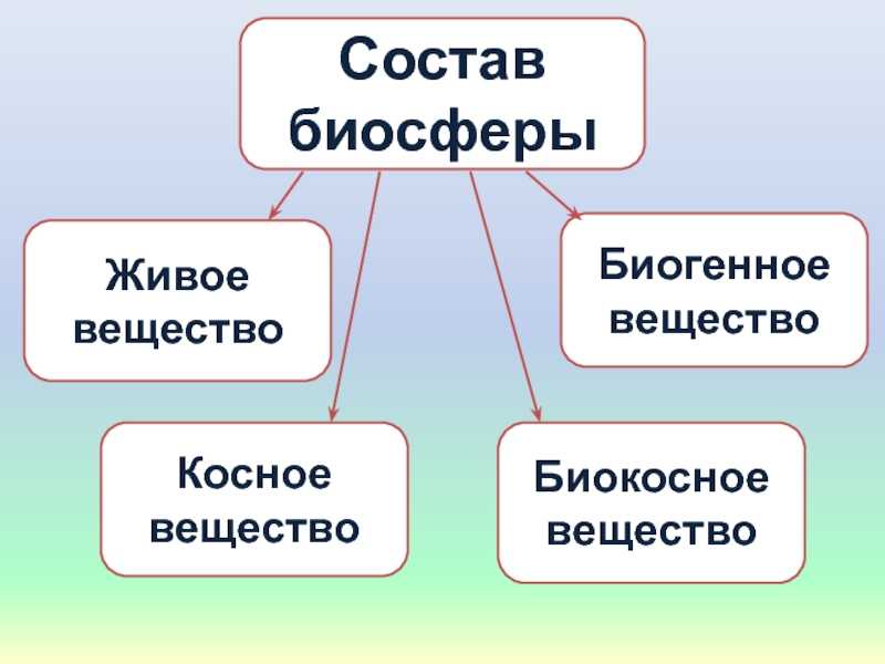Косное вещество биосферы: примеры и значения