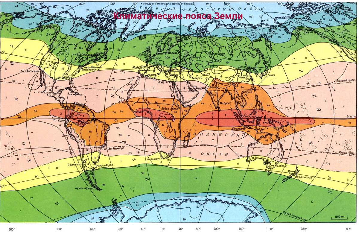 Природа разных климатических зон. Карта климатических поясов по Алисову.