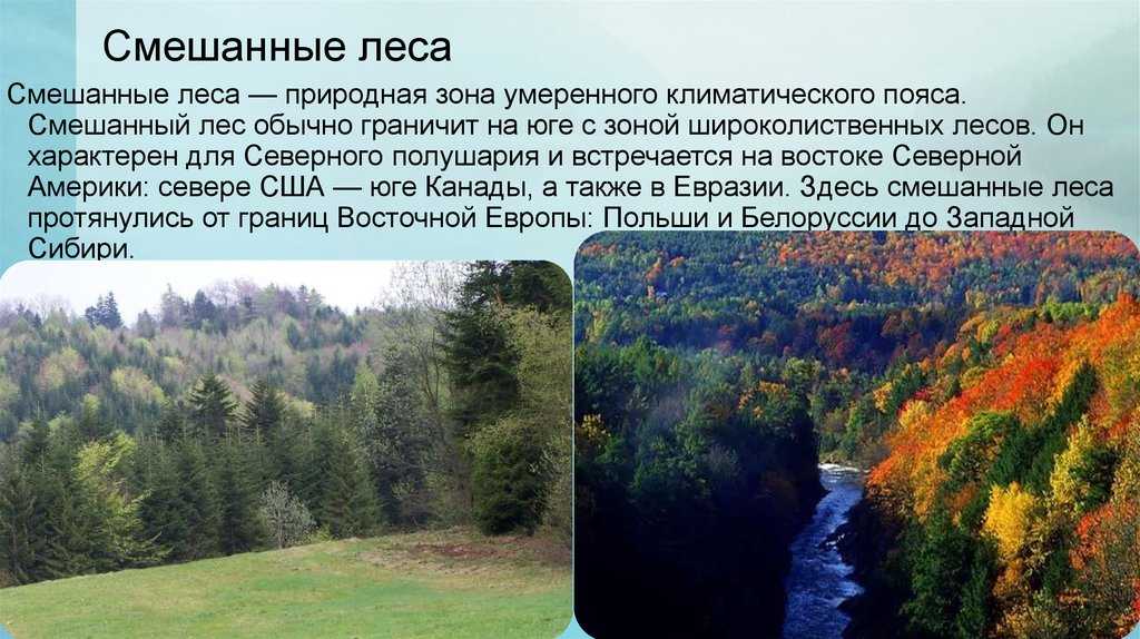 Особенности природных зон дальнего востока