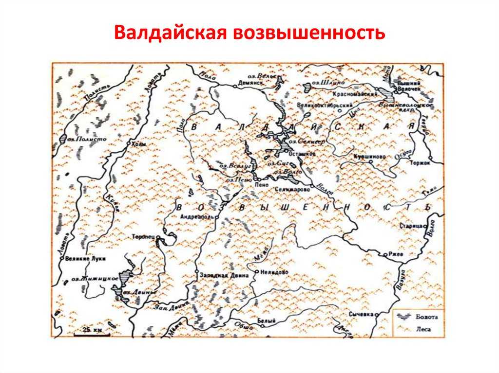 Рельеф псковской, новгородской и ленинградской областей