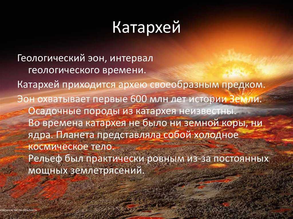 Этапы развития жизни на земле