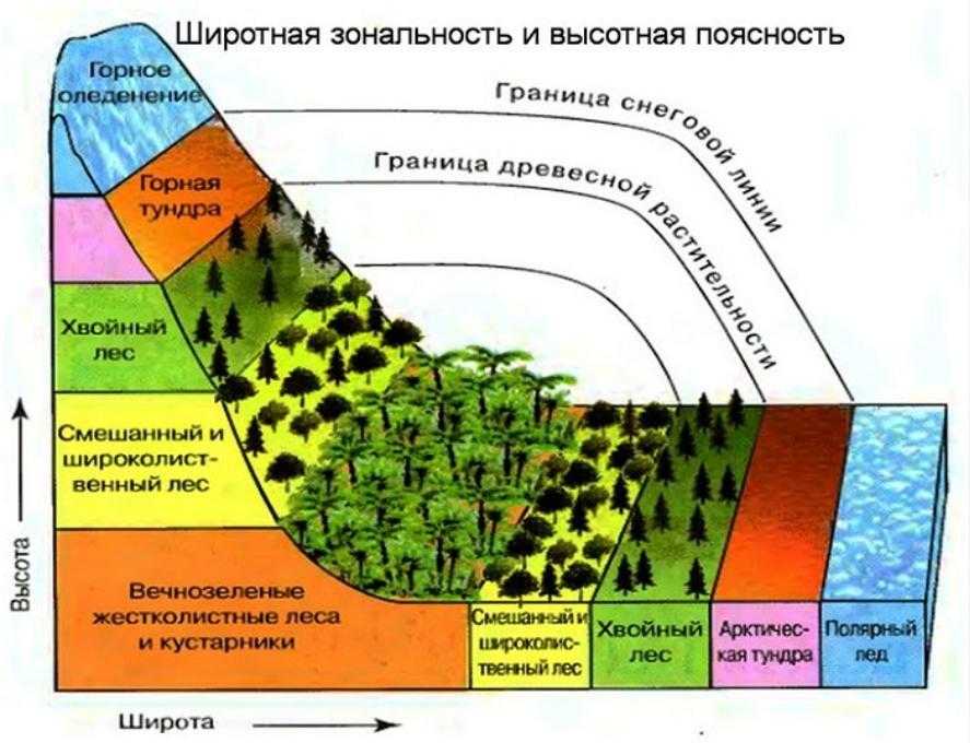 Какими способами используя рельеф и растительный покров