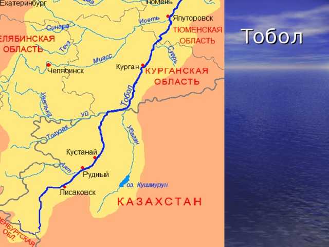 Река тобол: обзор и характеристики, притоки, исток, устье