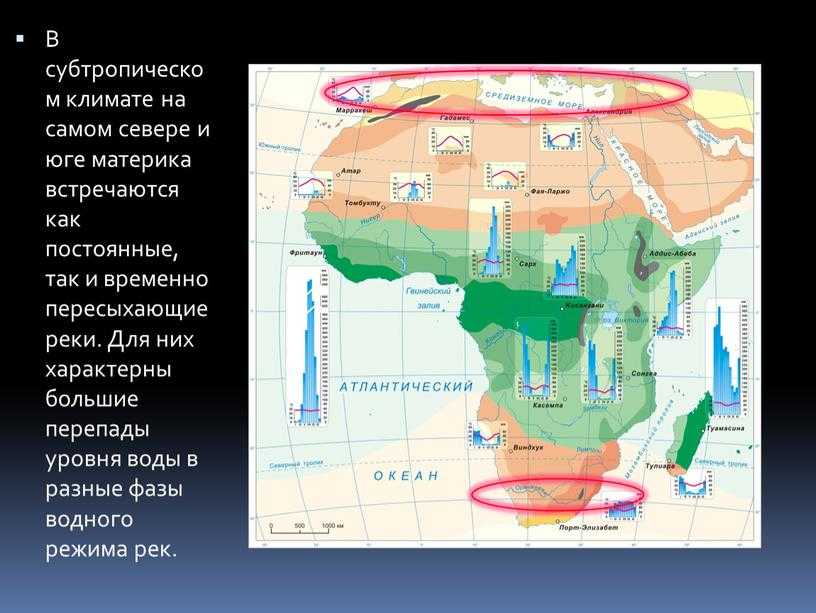 Окружающий мир