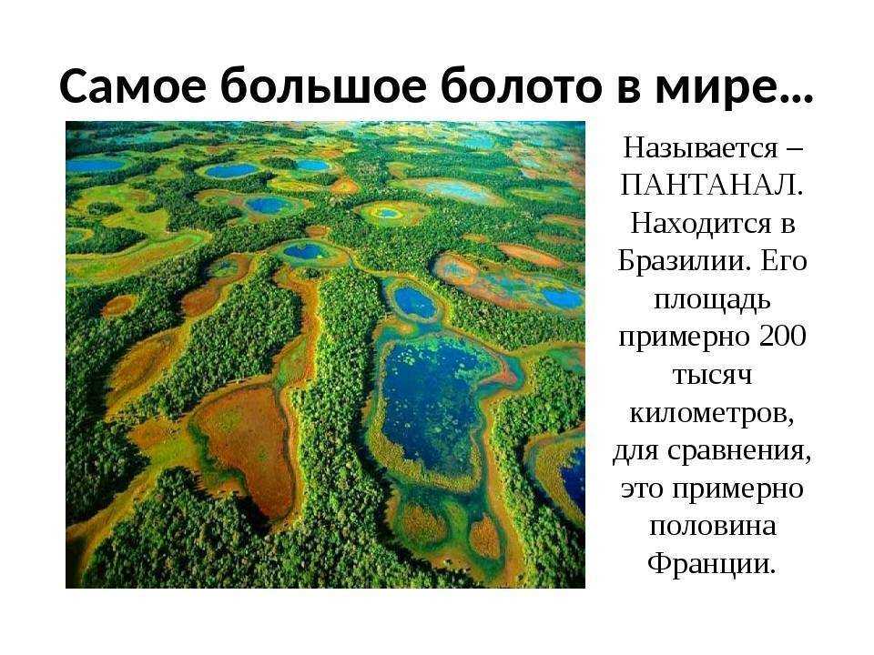 Где находится болотное. Самая большая болота в мире. Самое большое болото. Самое больше болото в мире?. Самое большое болото в мире где.