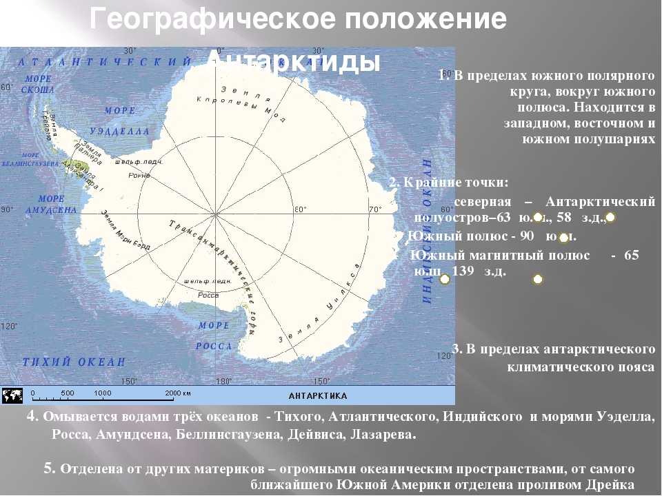 Какие есть полярные круги. ГП Антарктиды 7 класс география. Северный Полярный круг на карте Антарктиды. ФГП Антарктиды 7 класс география. Южный Полярный круг на карте Антарктиды.