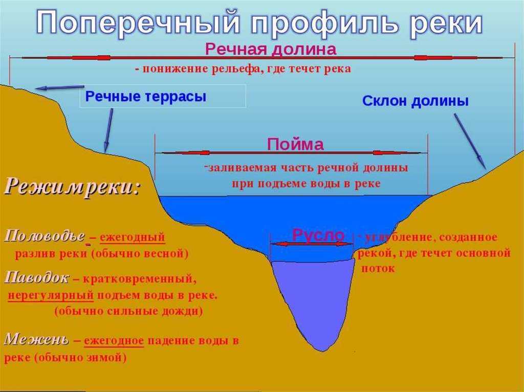 Река волга - самая длинная река в россии и её уровень воды, устье и исток, перечень городов, как и где она течёт.