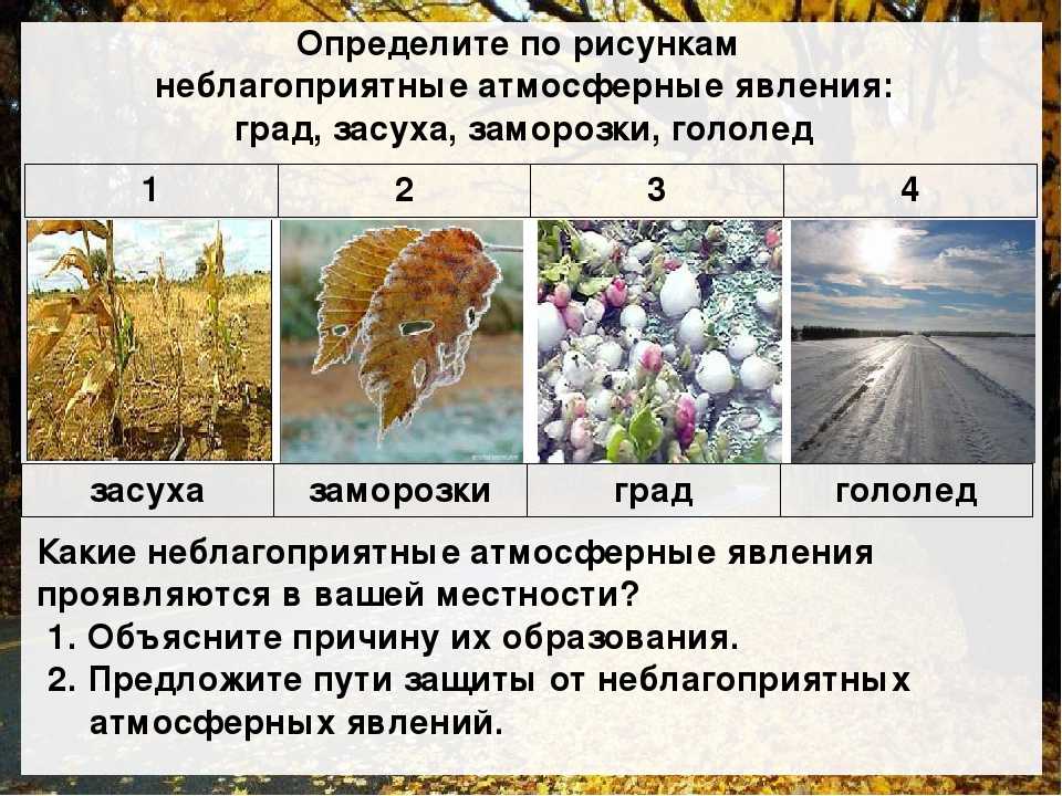 География