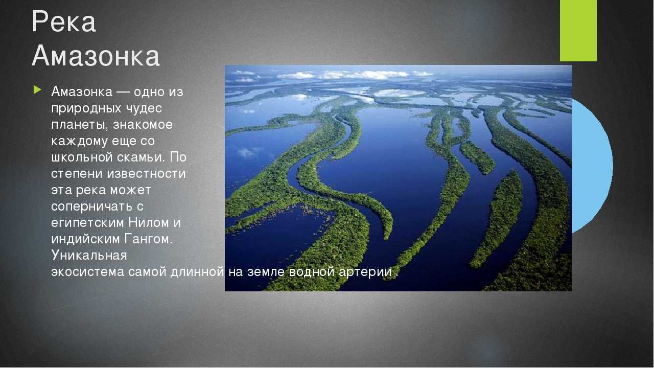 Реки и озера бразилии – список крупных, названия и описание кратко (7 класс, география)