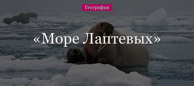 Море лаптевых - какие реки впадают, характеристика, факты о море