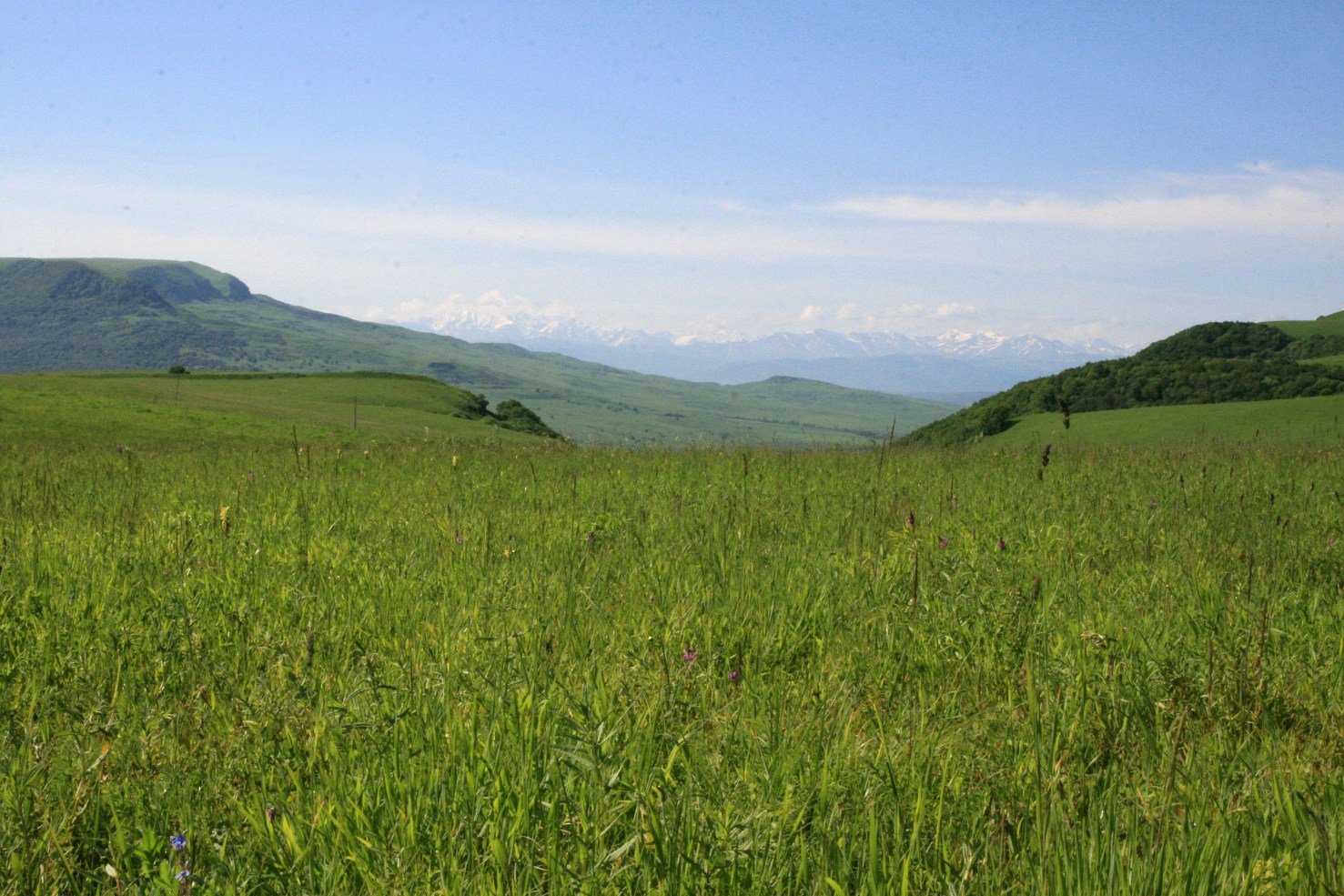 Краснодарский край