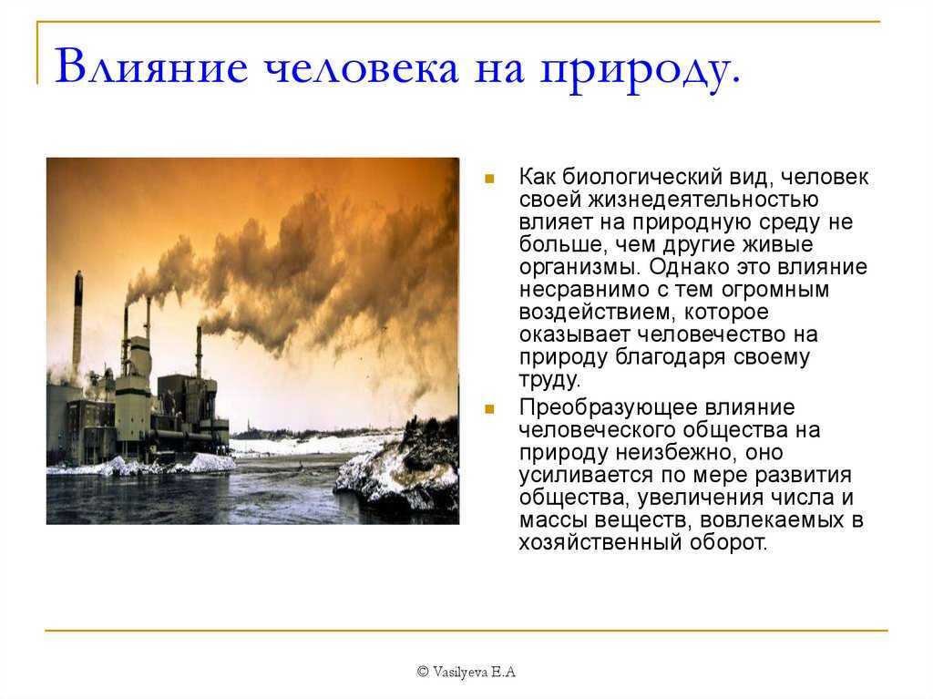 Антропогенные факторы окружающей среды - примеры, влияние и краткая характеристика — природа мира