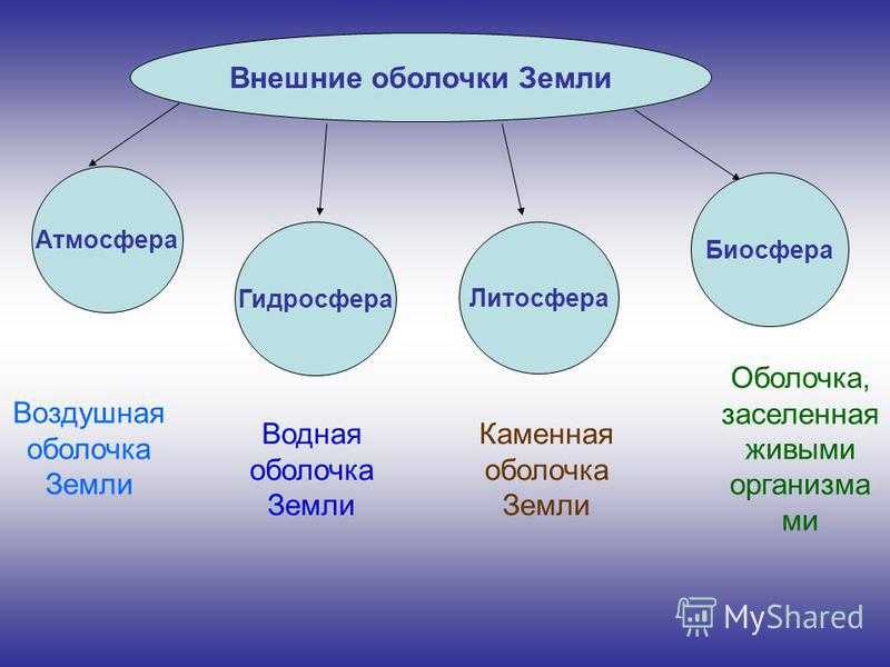 Что такое биосфера и какова ее роль на земле