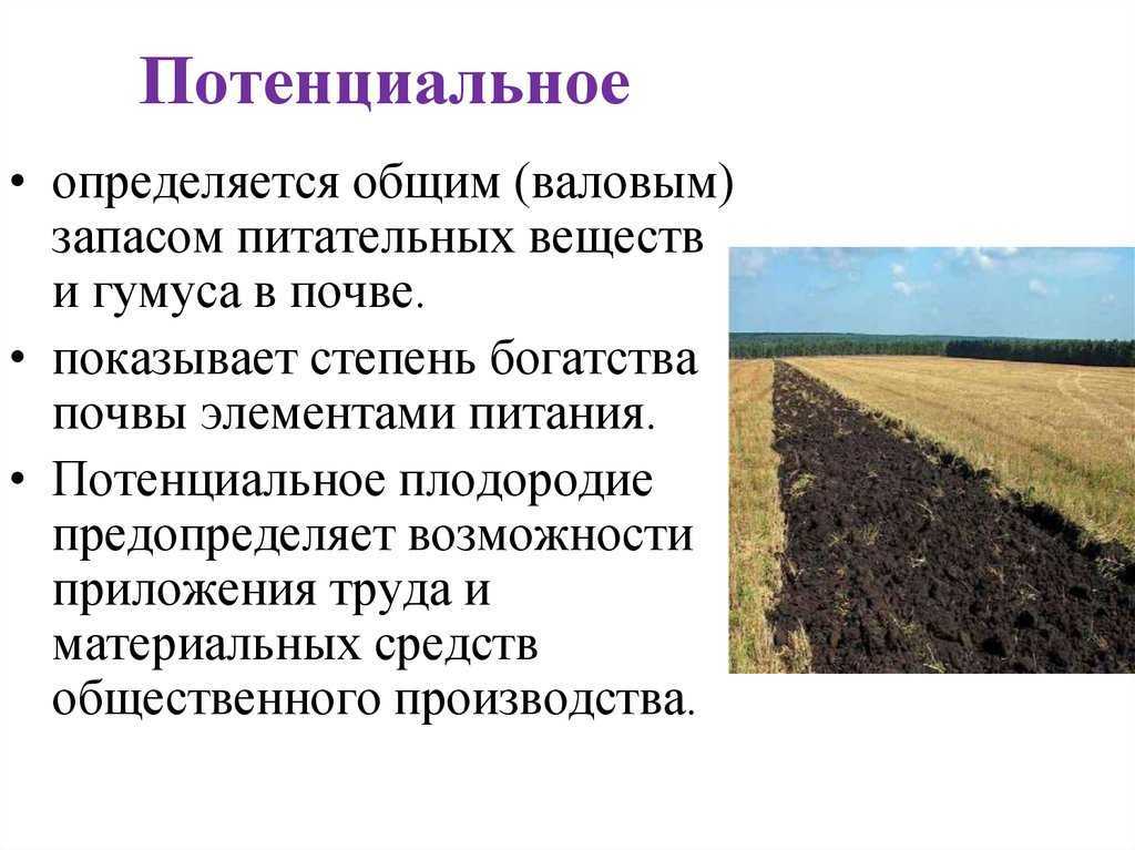 Агроландшафт как основа организации систем земледелия. научные основы защиты почвы от эрозии презентация, доклад, проект на тему