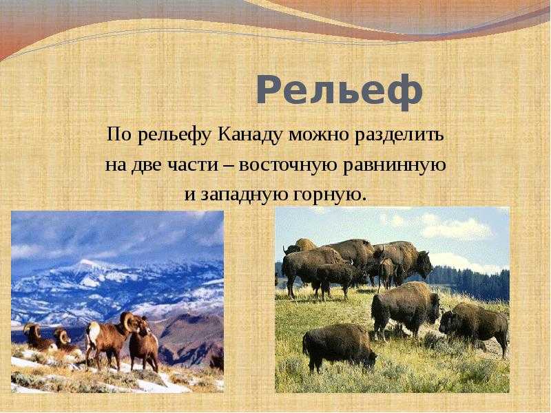 География