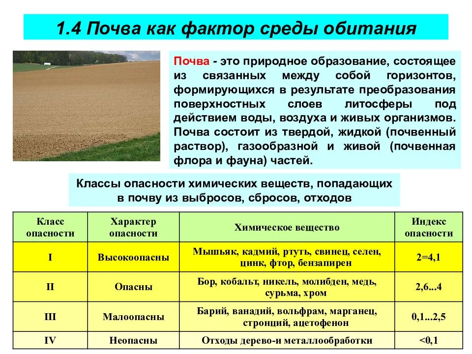 Связь с условиями среды. Экологические факторы среды почвы. Почва как фактор среды обитания. Факторы почвенной среды обитания. Экологические факторы почвенной среды обитания.