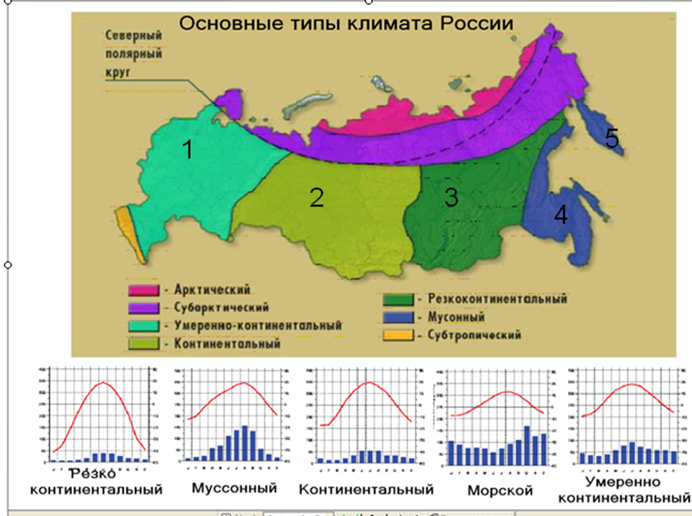 Климатические пояса россии
