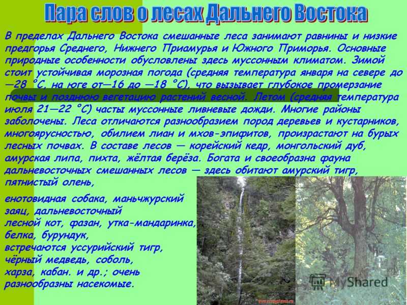 Дальний восток. география, характеристика рельефа, природа