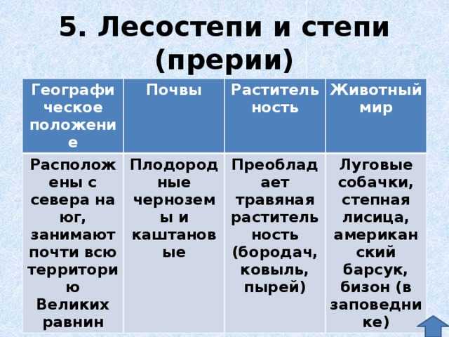 Степь – Описание, особенности, виды, расположение, почвы, климат, флора, фауна, фото и видео Степь – удивительная природная зона, где почти нет деревьев,