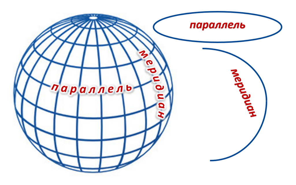 Параллель на шаре. Глобус меридианы параллели Экватор. Параллели на глобусе. Меридианы и параллели на глобусе. Парапараллели на глобусе.