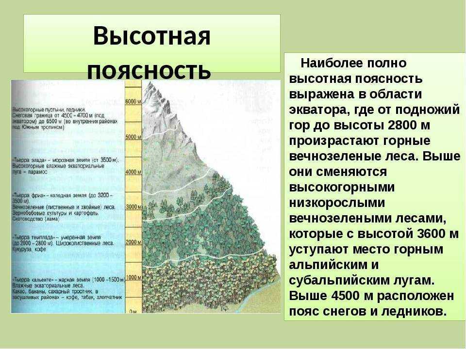 Презентация на тему "урок окружающего мира в 4 классе «природные зоны россии. области высокой поясности»." по окружающему миру для 4 класса