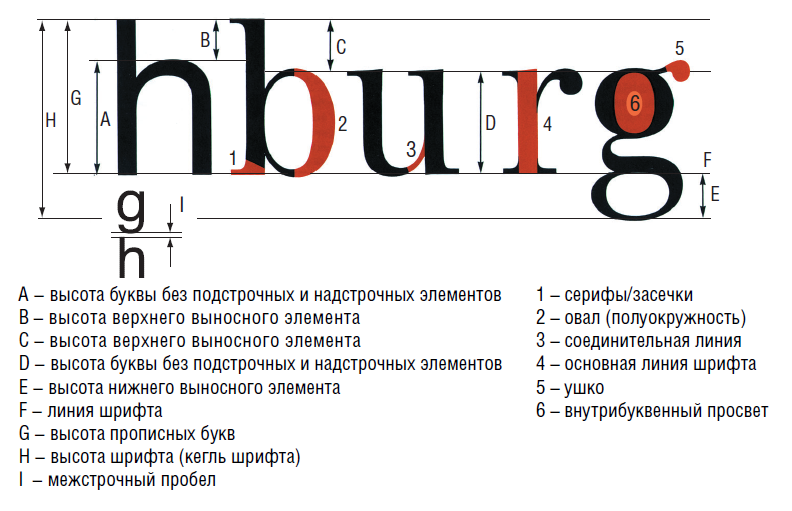 15 основных элементов буквы | penlovers.ru