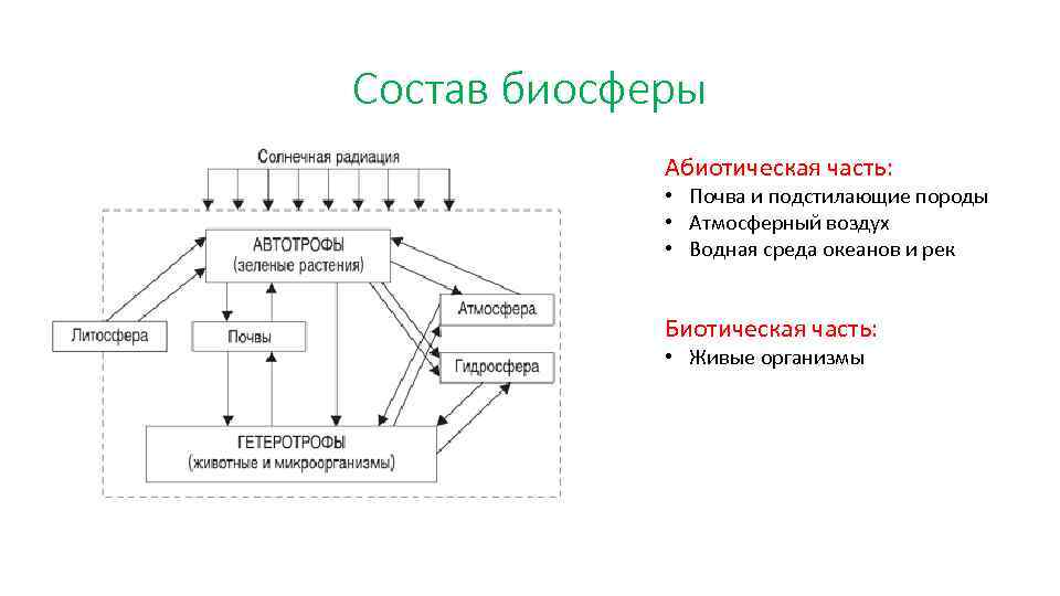 Биосфера. круговорот веществ в биосфере. глобальные изменения в биосфере. | егэ по биологии