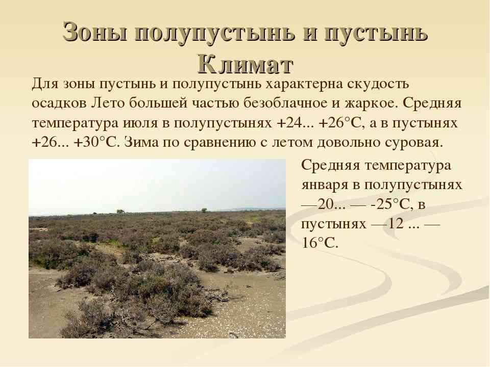Природные  зоны: какие бывают, их характеристики и особенности