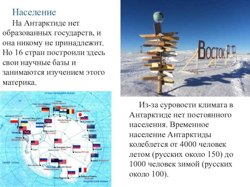 Какие океаны омывают антарктиду самый маленький материк земли