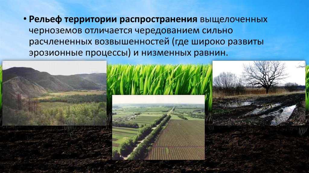 Центральный-черноземный экономический район: основные черты и роль в развитии россии