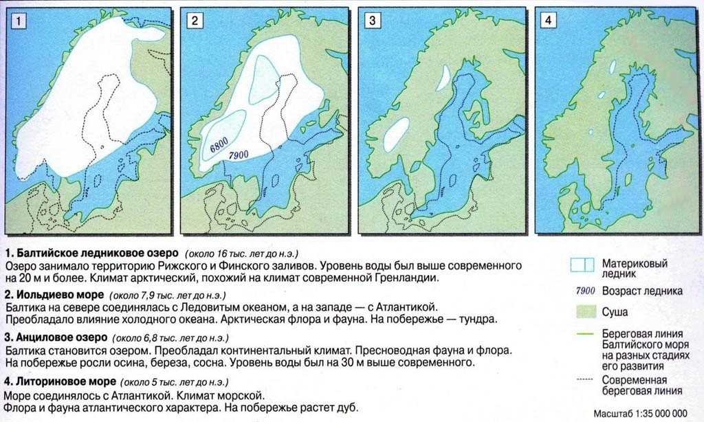 Vdvanr.ru