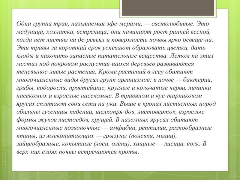 Сочинение описание местности 6 класс