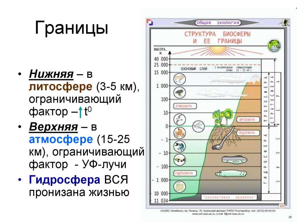 География