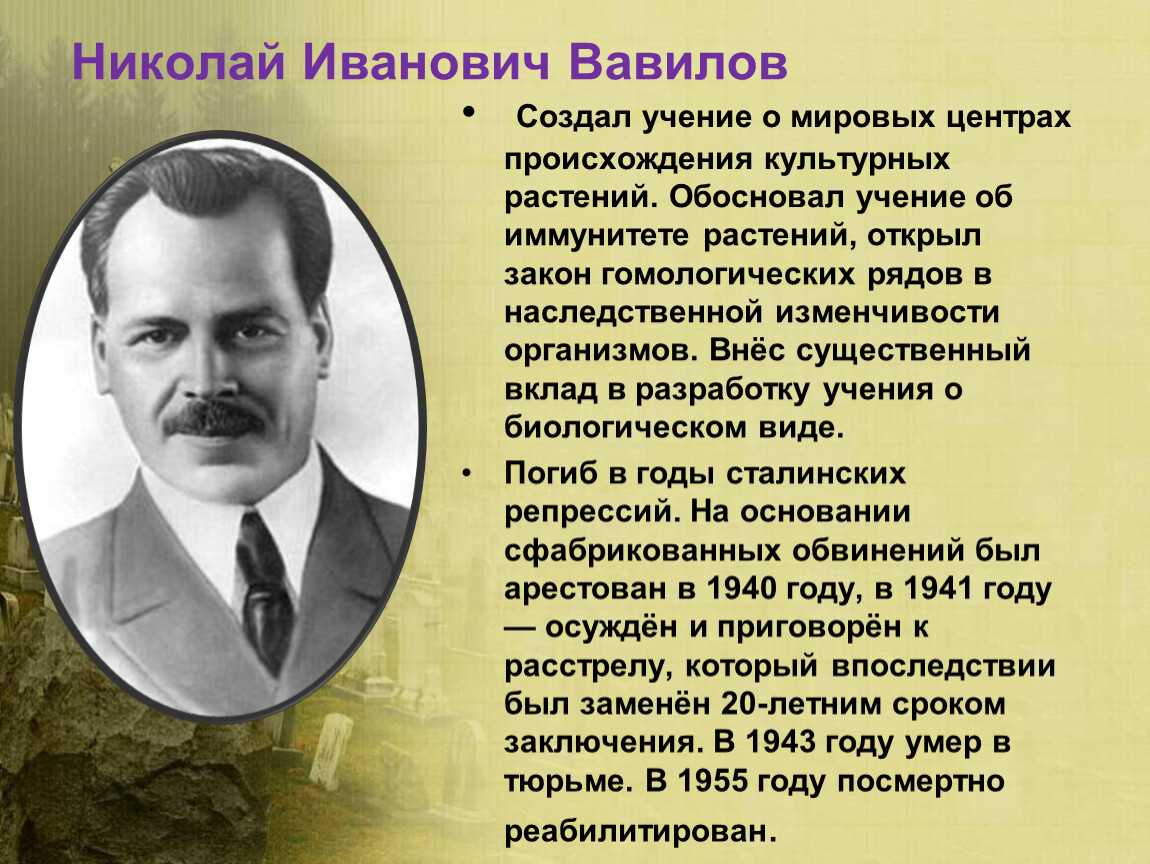 Что такое закон географической зональности простыми словами
